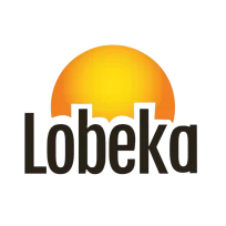Electrical and Renewable Energy Solutions